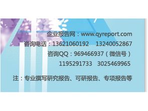 2017-2023年雙飛人藥水市場(chǎng)營(yíng)銷模式分析與投資商機(jī)報(bào)告